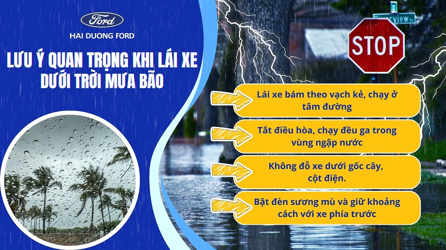 Đại lý Ford Hải Dương chia sẻ những lưu ý quan trọng khi lái xe dưới trời mưa bão